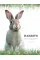 Rabbits