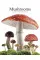 Mushrooms