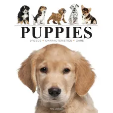 Puppies
