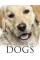 Encyclopedia of Dogs