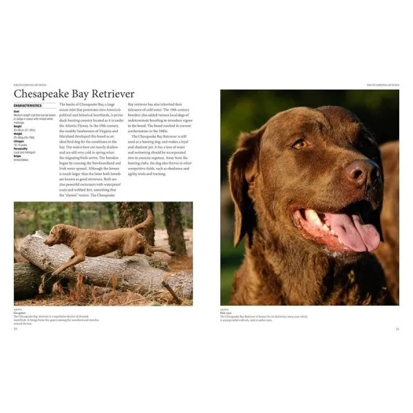 Encyclopedia of Dogs
