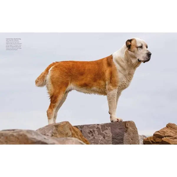 Encyclopedia of Dogs