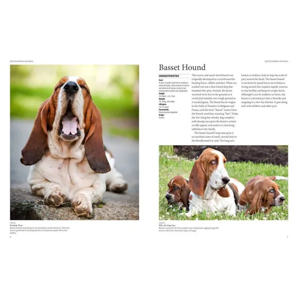 Encyclopedia of Dogs