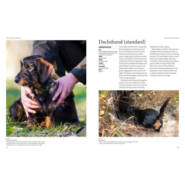 Encyclopedia of Dogs