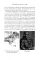 Michelangelo and The Pope's Ceiling