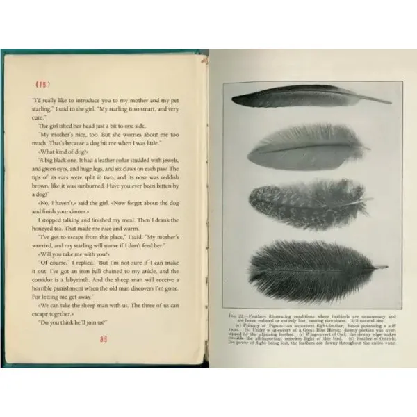 The Strange Library. Haruki Murakami