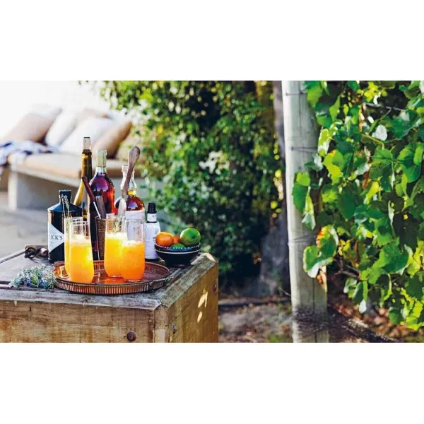 Feast from the Fire. 65 summer recipes to cook and share outdoors