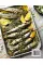 Fish & Shellfish