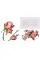 Rosie Sanders' Flowers. A Celebration Of Botanical Art