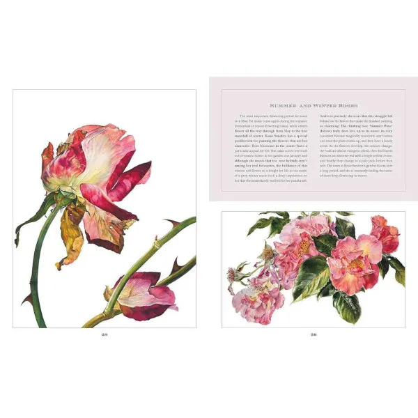 Rosie Sanders' Flowers. A Celebration Of Botanical Art