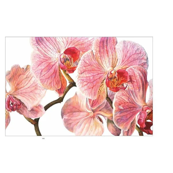 Rosie Sanders' Flowers. A Celebration Of Botanical Art