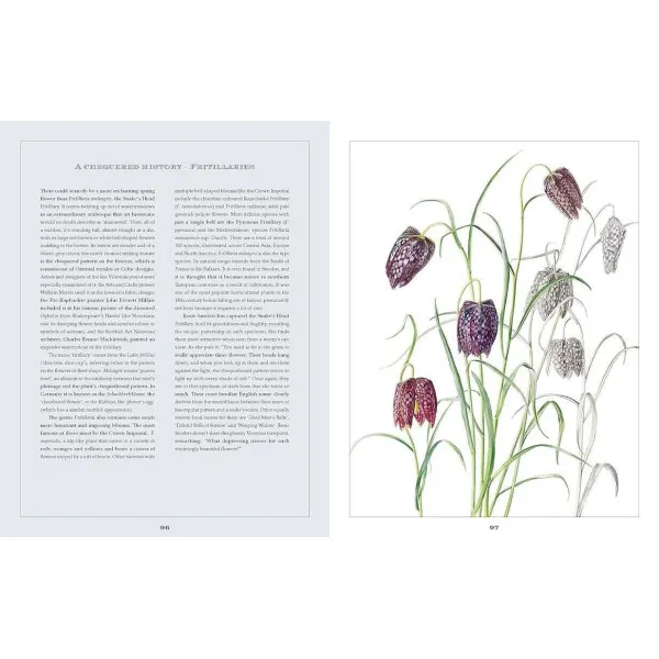 Rosie Sanders' Flowers. A Celebration Of Botanical Art