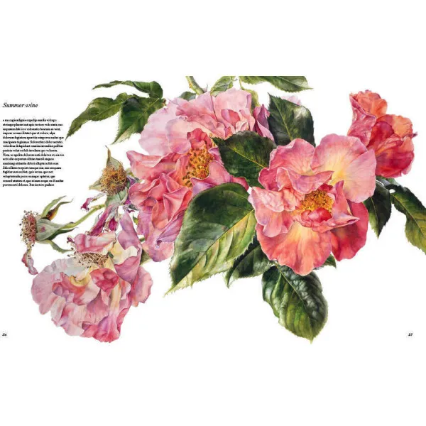 Rosie Sanders' Roses. A Celebration In Botanical Art