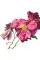 Rosie Sanders' Roses. A Celebration In Botanical Art