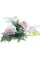 Rosie Sanders' Roses. A Celebration In Botanical Art