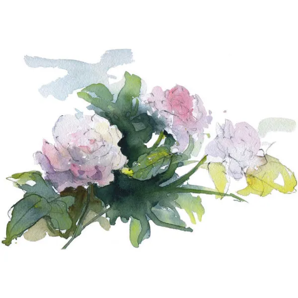 Rosie Sanders' Roses. A Celebration In Botanical Art