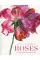 Rosie Sanders' Roses. A Celebration In Botanical Art