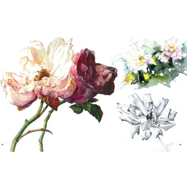 Rosie Sanders' Roses. A Celebration In Botanical Art