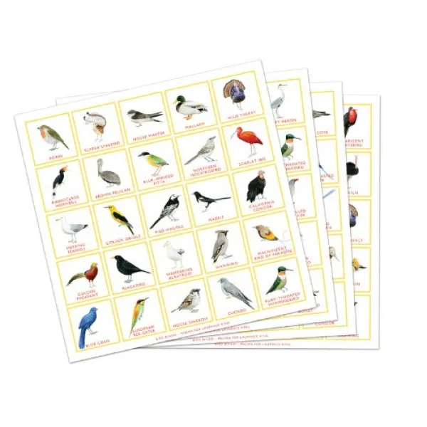 Bird Bingo (game)