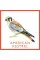 Bird Bingo (game)