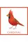 Bird Bingo (game)