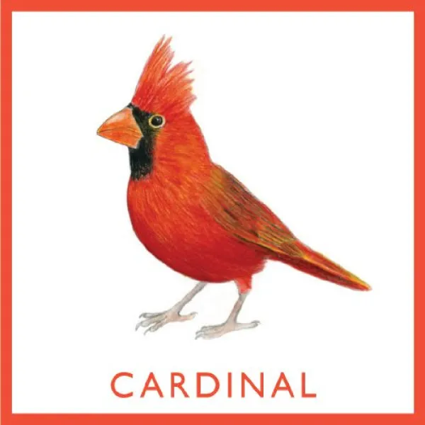 Bird Bingo (game)