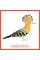 Bird Bingo (game)