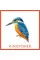 Bird Bingo (game)