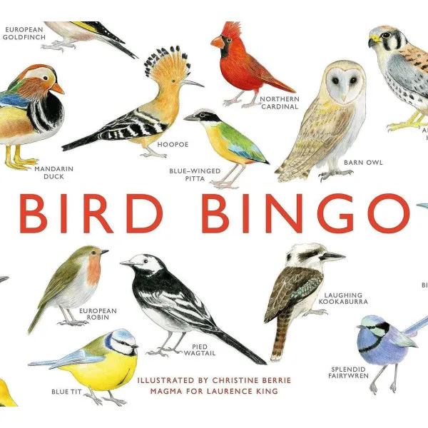 Bird Bingo (game)