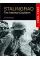 Stalingrad. The Infernal Cauldron