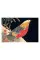 The Art of Japanese Woodblock Printing