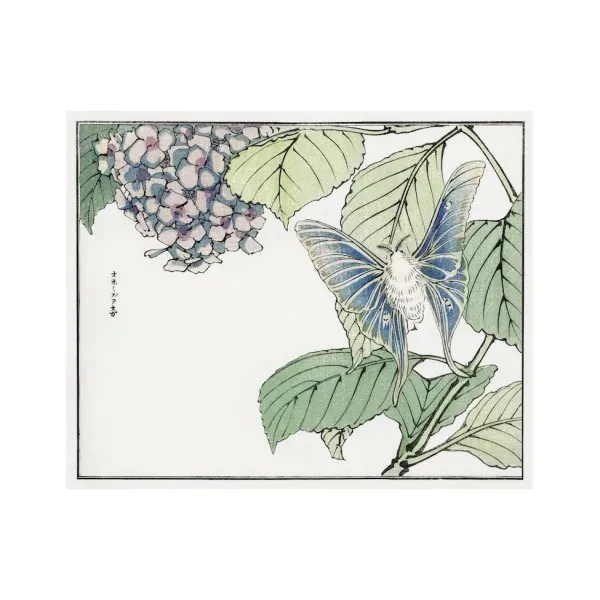 The Art of Japanese Woodblock Printing