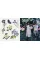 The Sticker Treasury of Blooms and Butterflies
