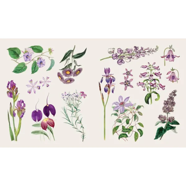 The Sticker Treasury of Blooms and Butterflies
