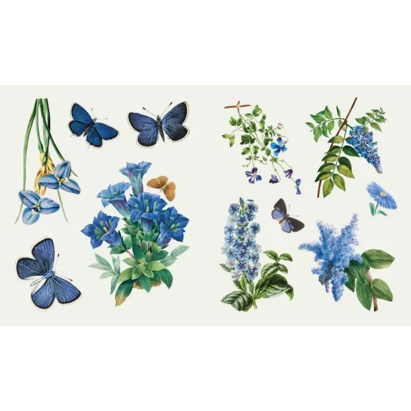 The Sticker Treasury of Blooms and Butterflies