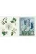 The Sticker Treasury of Blooms and Butterflies