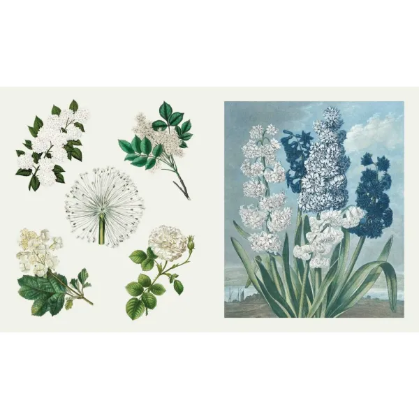 The Sticker Treasury of Blooms and Butterflies