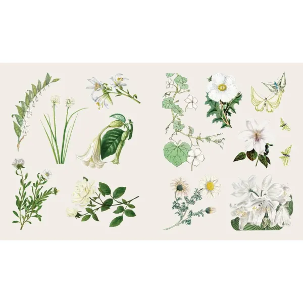 The Sticker Treasury of Blooms and Butterflies