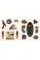 The Sticker Treasury of the Mystical and Esoteric