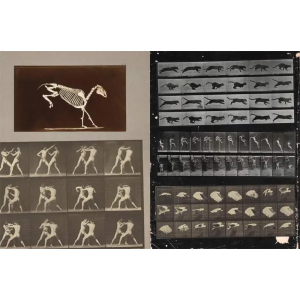 Cut-out Curiosities Space, Science & Technology