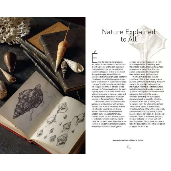 A Parisian Cabinet of Curiosities: Deyrolle