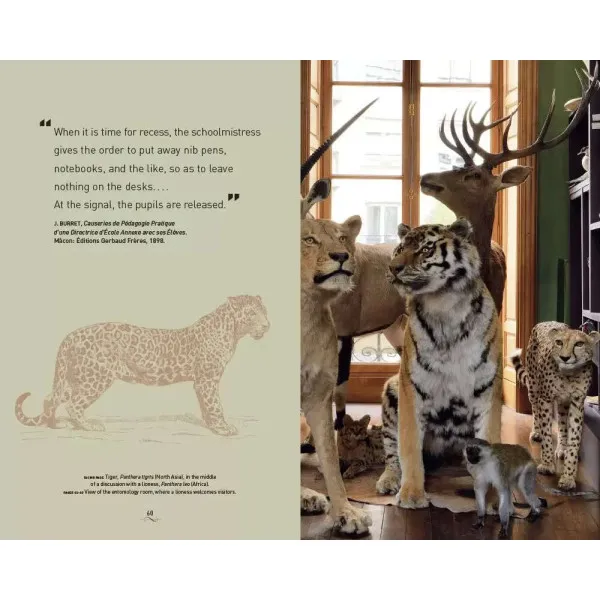 A Parisian Cabinet of Curiosities: Deyrolle