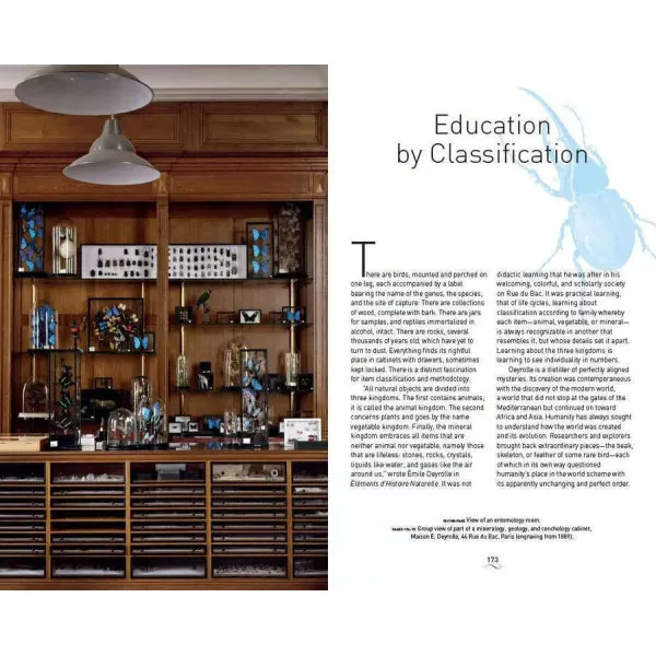 A Parisian Cabinet of Curiosities: Deyrolle