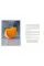 The Complete Book of Cheese