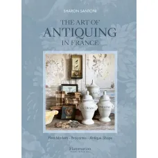 The Art of Antiquing in France