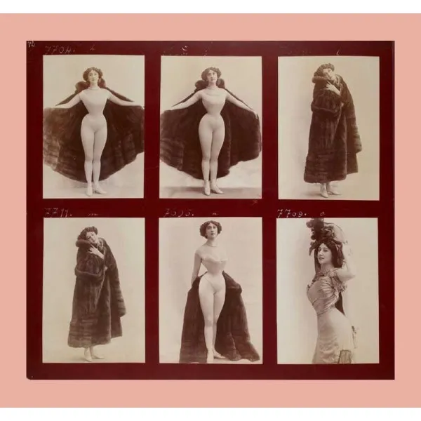Splendours and Miseries : Images of Prostitution in France, 1850-1910