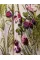 Dior in Bloom