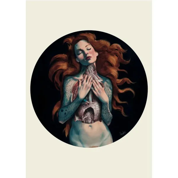 Anatomy Rocks. 30 Deluxe Postcards