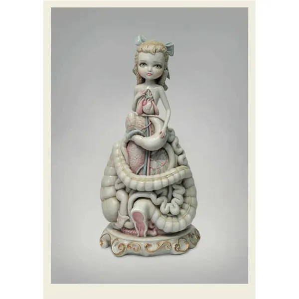 Anatomy Rocks. 30 Deluxe Postcards