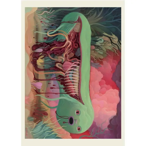 Anatomy Rocks. 30 Deluxe Postcards